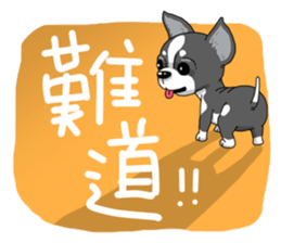 Pet Paradise so happy sticker #5846026