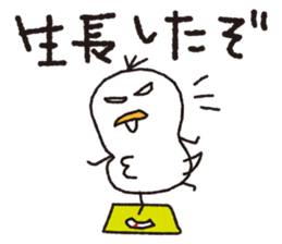 Duck Ducks2 sticker #5847457