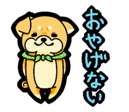 Gunma accent sticker!! sticker #5847899