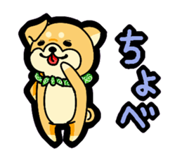 Gunma accent sticker!! sticker #5847900