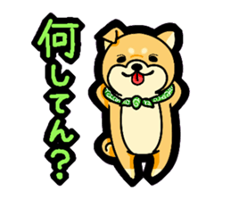 Gunma accent sticker!! sticker #5847906