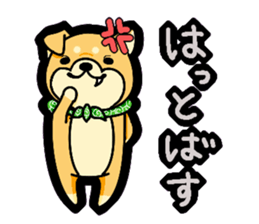 Gunma accent sticker!! sticker #5847911