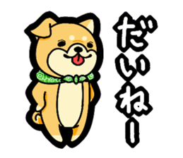 Gunma accent sticker!! sticker #5847912