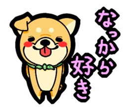 Gunma accent sticker!! sticker #5847923