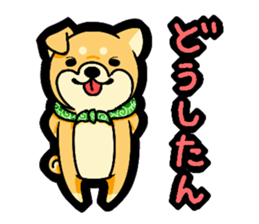 Gunma accent sticker!! sticker #5847926