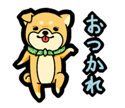 Gunma accent sticker!! sticker #5847929