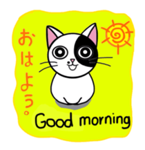 Muji black & white cow cat sticker #5848050