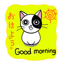 Muji black & white cow cat sticker #5848050