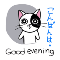 Muji black & white cow cat sticker #5848052