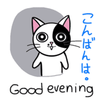 Muji black & white cow cat sticker #5848052