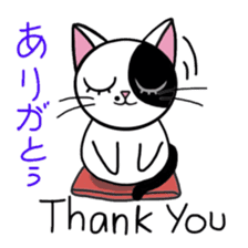 Muji black & white cow cat sticker #5848054