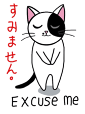 Muji black & white cow cat sticker #5848060