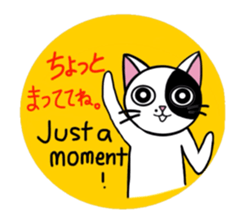 Muji black & white cow cat sticker #5848061