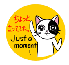 Muji black & white cow cat sticker #5848061