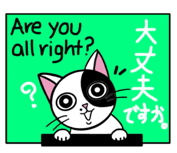 Muji black & white cow cat sticker #5848062