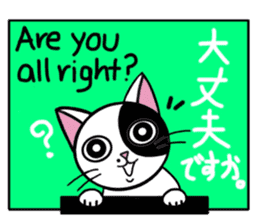 Muji black & white cow cat sticker #5848062