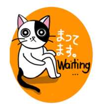 Muji black & white cow cat sticker #5848065