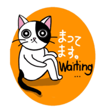 Muji black & white cow cat sticker #5848065