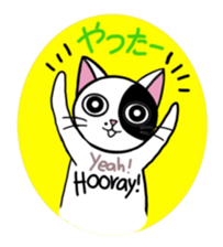 Muji black & white cow cat sticker #5848072