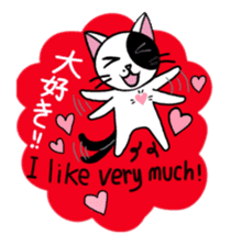 Muji black & white cow cat sticker #5848075