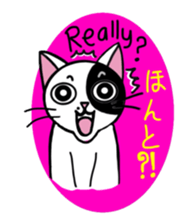 Muji black & white cow cat sticker #5848079