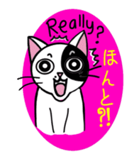 Muji black & white cow cat sticker #5848079