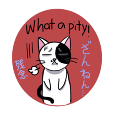 Muji black & white cow cat sticker #5848080