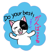 Muji black & white cow cat sticker #5848081