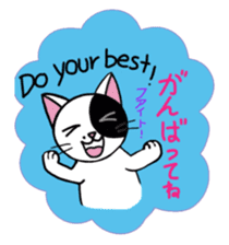 Muji black & white cow cat sticker #5848081