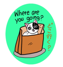 Muji black & white cow cat sticker #5848082