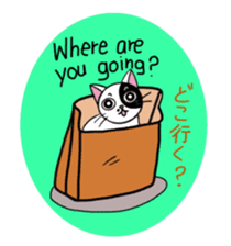 Muji black & white cow cat sticker #5848082