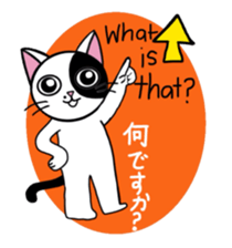 Muji black & white cow cat sticker #5848083