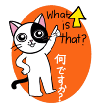 Muji black & white cow cat sticker #5848083