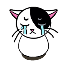 Muji black & white cow cat sticker #5848087