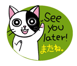 Muji black & white cow cat sticker #5848089