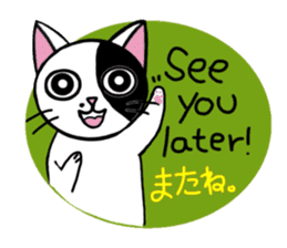 Muji black & white cow cat sticker #5848089