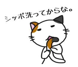 Surreal tortoiseshell cat sticker #5853581