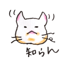 White cat of Pochi sticker #5855171