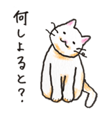 White cat of Pochi sticker #5855173