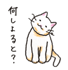 White cat of Pochi sticker #5855173