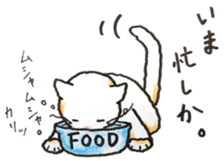 White cat of Pochi sticker #5855196