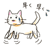 White cat of Pochi sticker #5855200