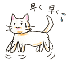 White cat of Pochi sticker #5855200
