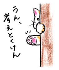 White cat of Pochi sticker #5855205