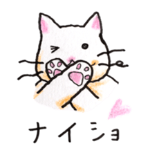 White cat of Pochi sticker #5855207