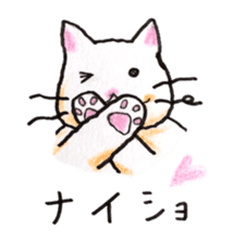 White cat of Pochi sticker #5855207