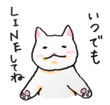 White cat of Pochi sticker #5855209