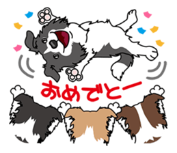 BORDERCOLLIE @ SURFBORDER sticker #5856091