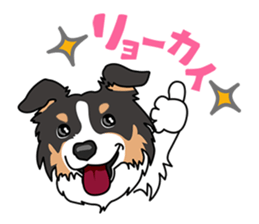 BORDERCOLLIE @ SURFBORDER sticker #5856092