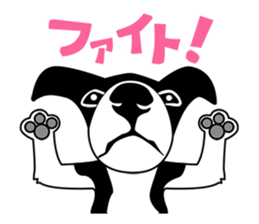 BORDERCOLLIE @ SURFBORDER sticker #5856093